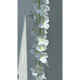 Enredadera flor blanca 