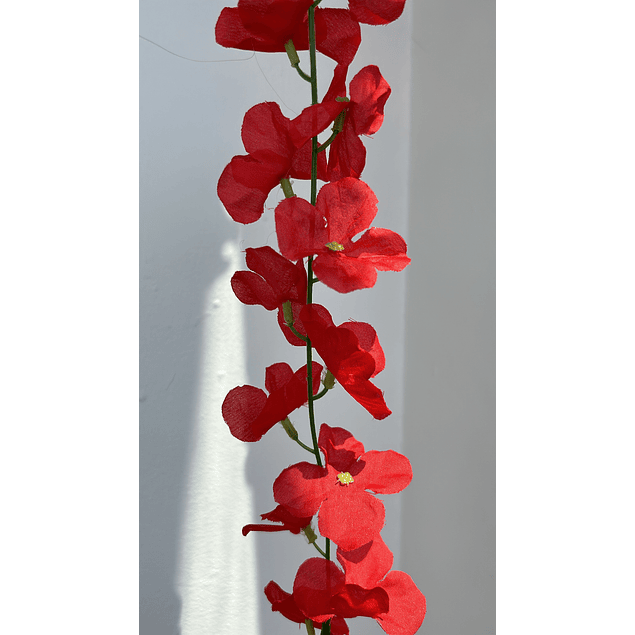 Enredadera flor roja
