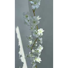 Enredadera flor blanca