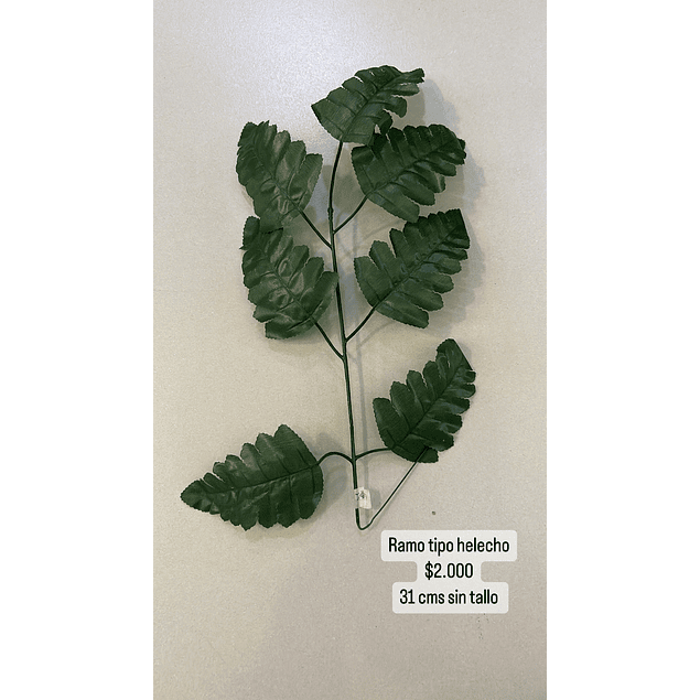 Ramo de hojas tipo helecho 