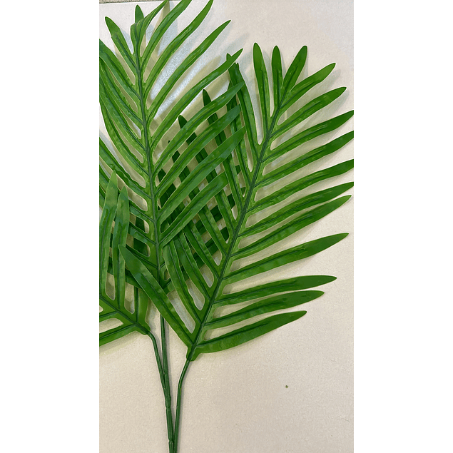 Ramo de hojas tipo Palma verde claro