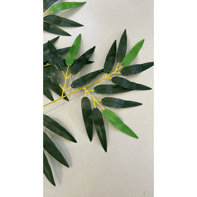 Ramo de hojas tipo bambú 