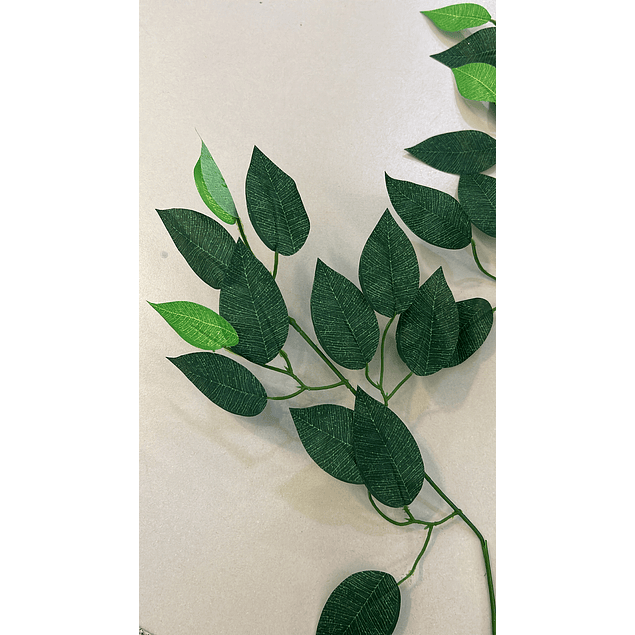 Ramo de hojas tipo ficus
