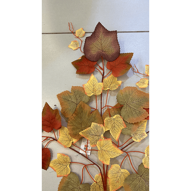 Ramo de hojas otoñales 