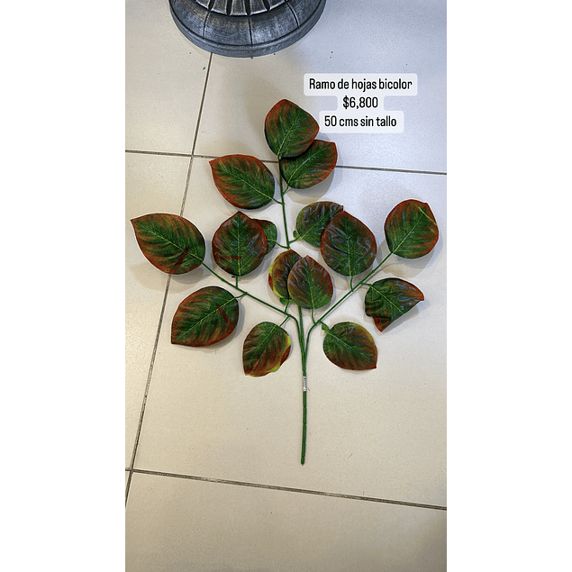 Ramo de hojas ovaladas bicolor 