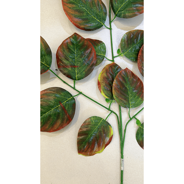 Ramo de hojas ovaladas bicolor 