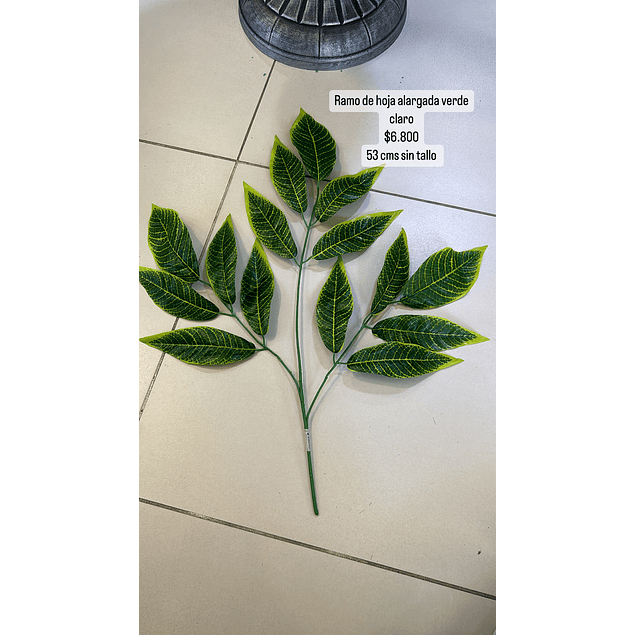 Ramo de hojas alargadas verde claro 