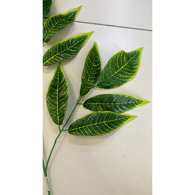 Ramo de hojas alargadas verde claro 
