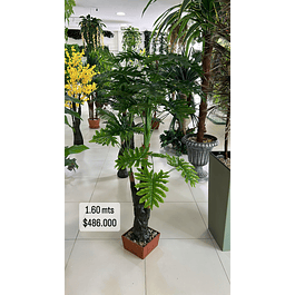 Planta estilo Palma 1.60 mts