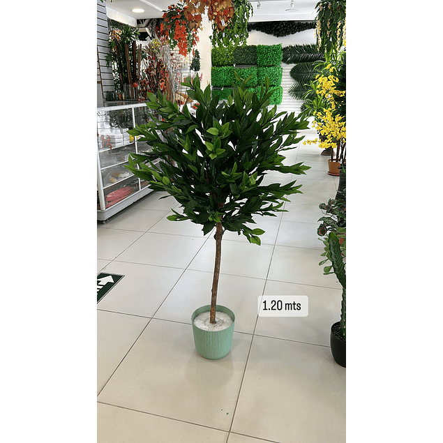 Árbol de la felicidad 1.20 mts