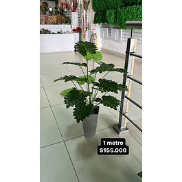 Planta de piso de 1 metro