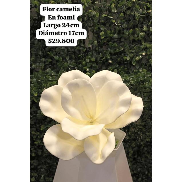 Flor camelia en foami blanca