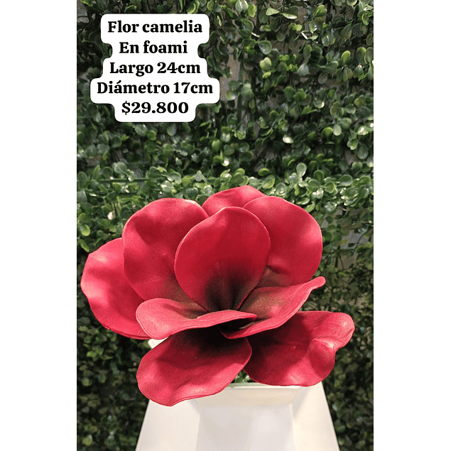 Flor camelia en foami roja