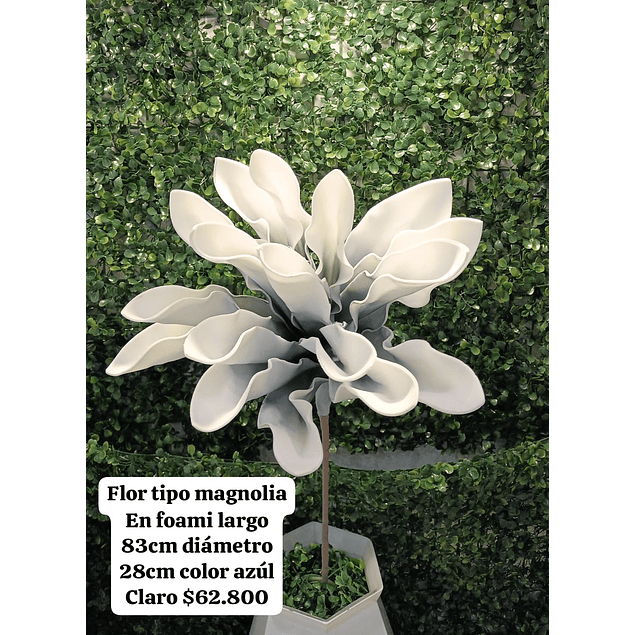 Flor magnolia azul 