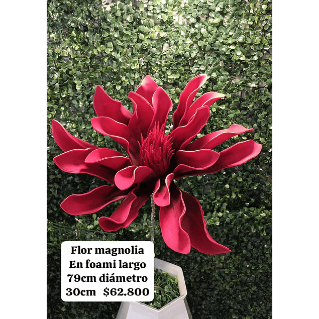 Flor magnolia roja