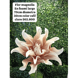 Flor magnolia café