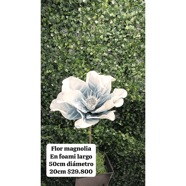 Flor magnolia azul