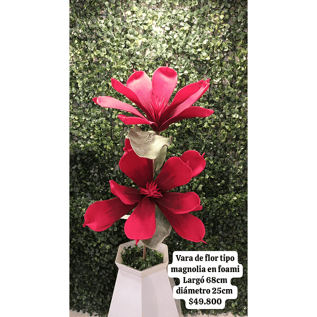 Ramo de magnolia roja