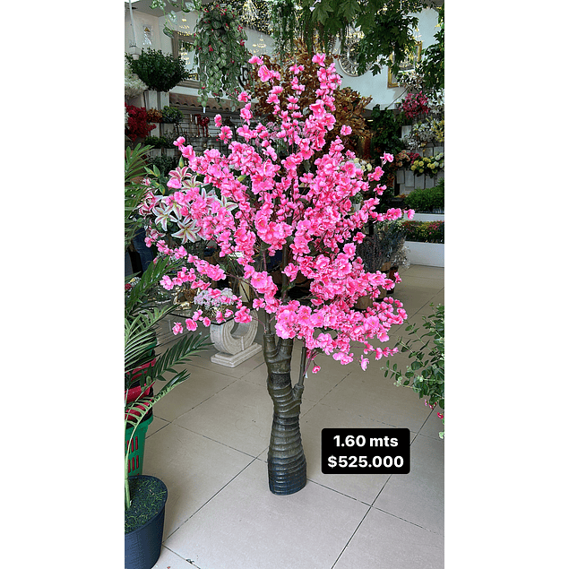 Árbol de cerezo 1.60 mts rosado claro 