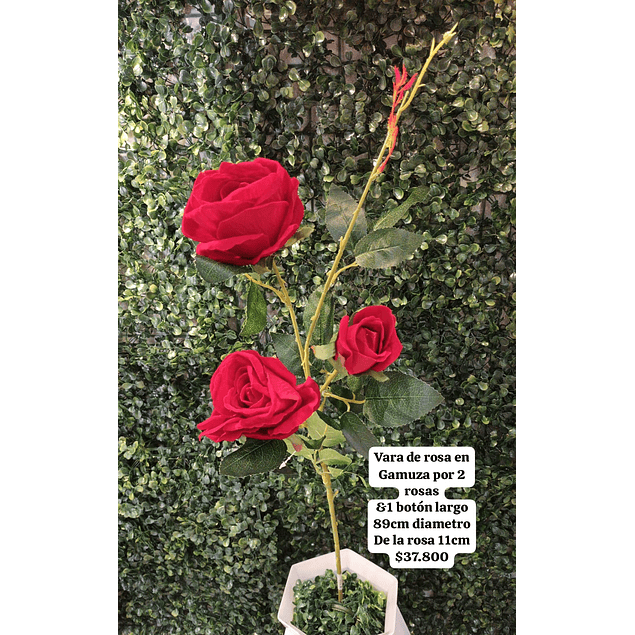 Ramo de rosas gamuza en rojo