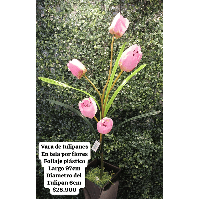 Tulipanes rosado claro