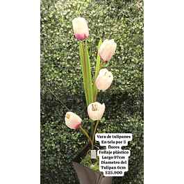 Tulipanes blancos con morado