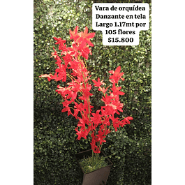 Vara de orquídea danzante rojo