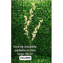 Orquídea parásita blanca