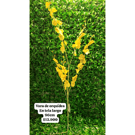 Orquídea parásita amarilla