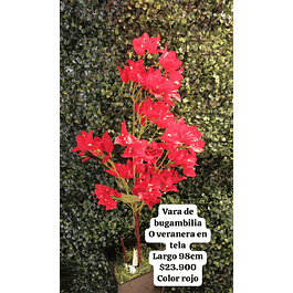 Vara de bugambilia roja