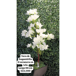 Vara de bugambilia blanca