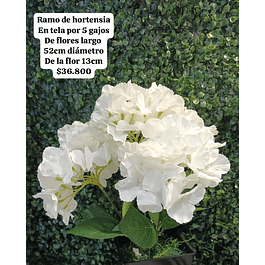 Ramo de hortensias blanco