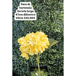Vara de hortensia amarilla