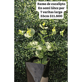 Follaje de eucalipto en semi látex verde oscuro