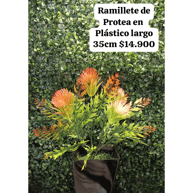 Ramillete de protea rojiza