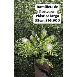 Ramillete de protea violeta