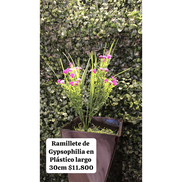 Ramillete de gypsophilia fucsia