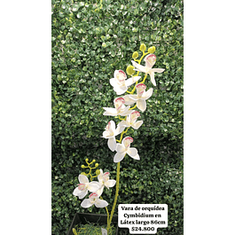 Vara de orquídea blanca