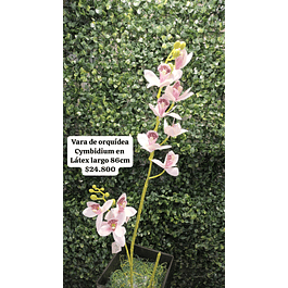 Vara de orquídea blanco con morado