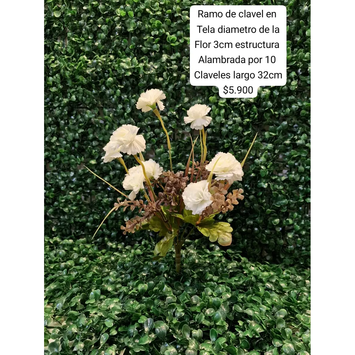 Ramo de clavel en blanco