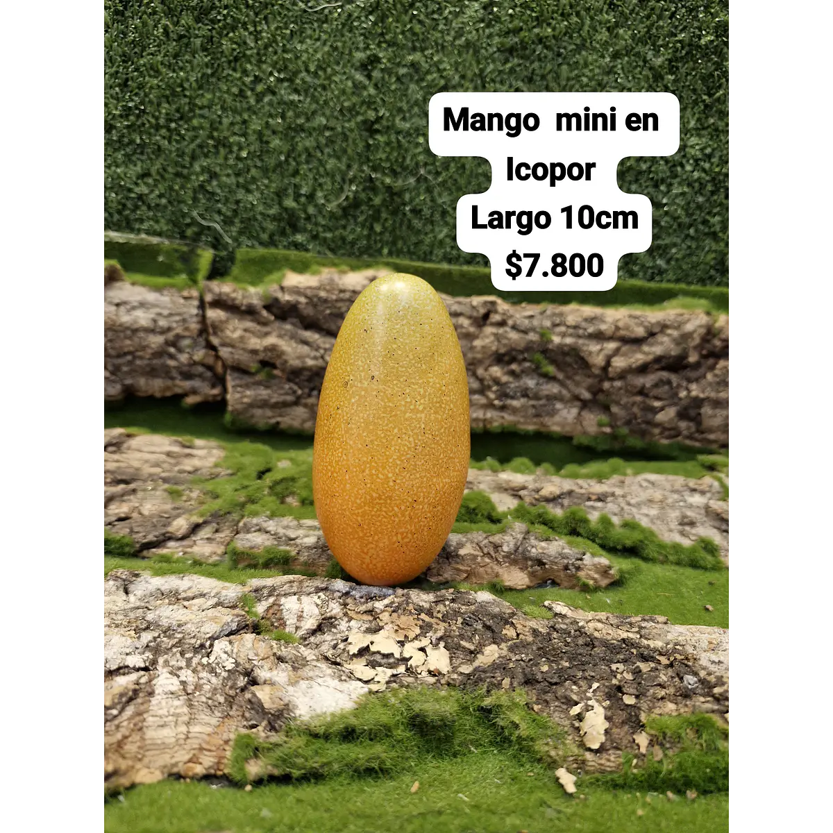 Mango mini