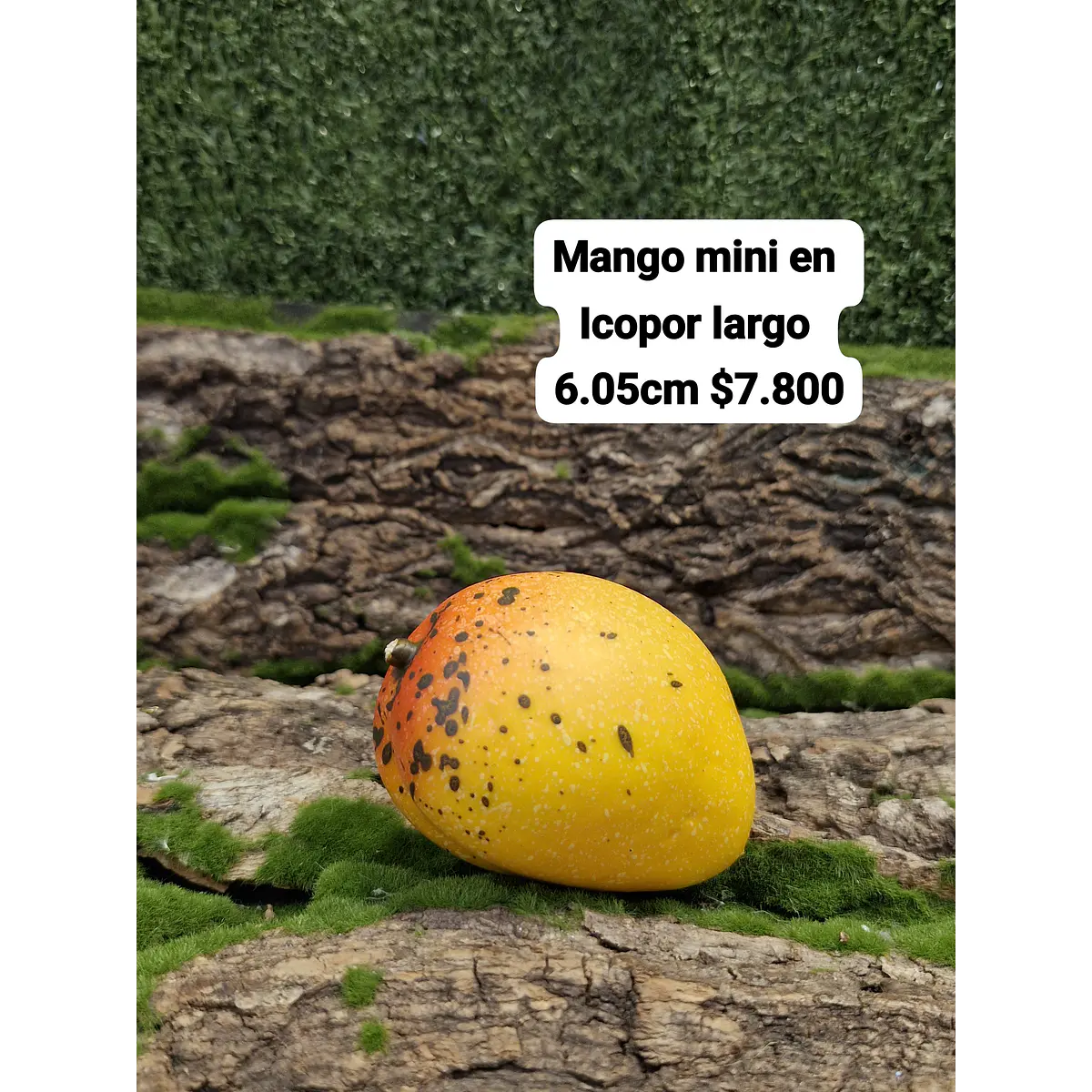 Mango mini