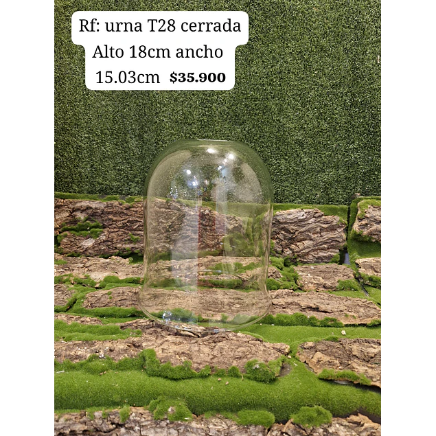 Urna T28 cerrada