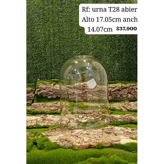 Urna T28 abierta