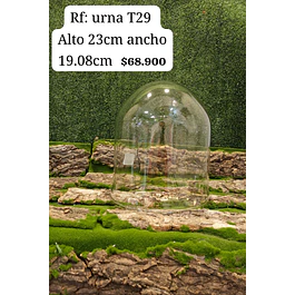 urna T29