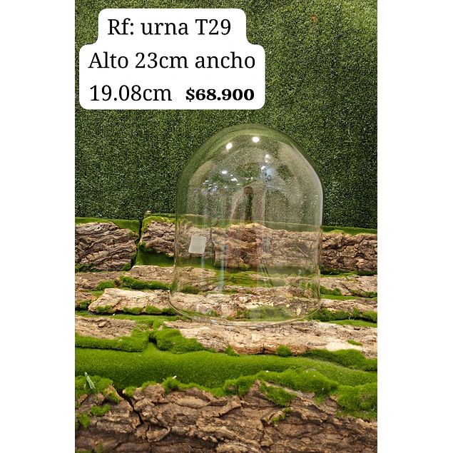urna T29