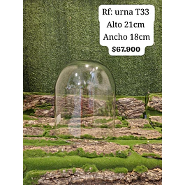 Urnat T33