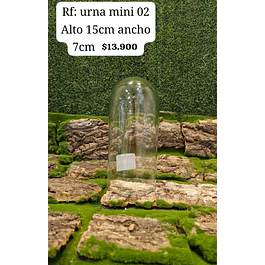 Urna mini 02