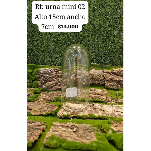 Urna mini 02