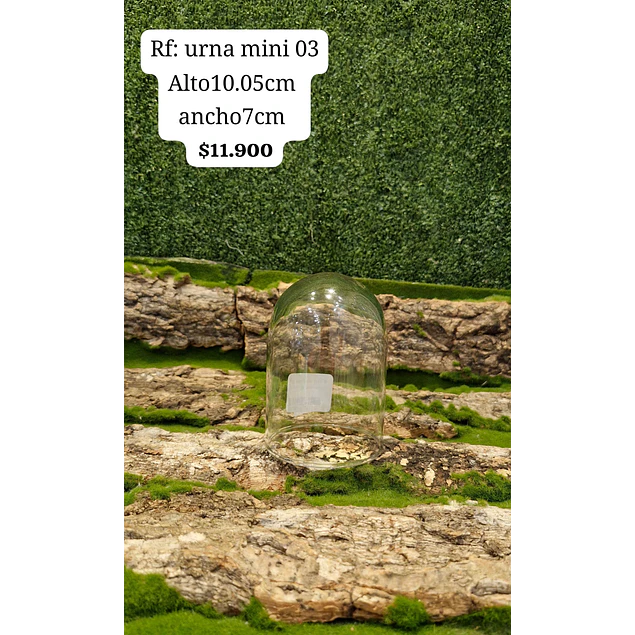 Urna mini 03